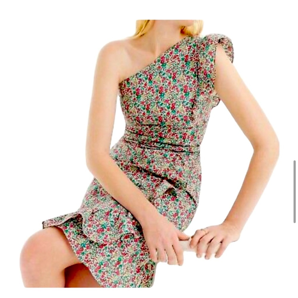 J Crew x Liberty Georgina Floral Print Dress NWT Size 16